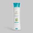 شامپو ضد شوره سینره مدل Anti Dandruff Willow حجم 250 میلی‌لیتر، حاوی عصاره زانتاکسیلوم و بید، رفع سریع پوسته ریزی، کاهش چربی و خارش پوست سر، مناسب انواع مو
