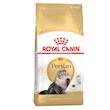 غذا خشک گربه رویال کنین مدل persian adult وزن 4 کیلوگرم