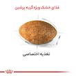 غذا خشک گربه رویال کنین مدل persian adult وزن 4 کیلوگرم