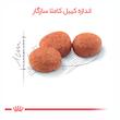غذای خشک گربه بالغ عقیم شده رویال کنین مدل sterilised وزن 4000 گرم