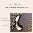 سرم پوست بایو آکوا مدل Rice Raw Pulp Hyaluronic Acid حجم 15 میلی لیتر
