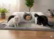 تونل بازی و جای خواب گربه طرح نِلی - رایاپت