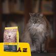 غذای خشک گربه کتلوکس جوسرا 2 کیلوگرمJosera Catelux 2