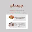 شلف رومیزی مدل استند آشپزخانه