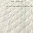 کاور صندلی اداری مدل POMO