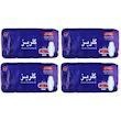 نوار بهداشتی گلریز مدل بالدار مجموعه 4 عددی