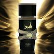 عطر جیبی ویکینگ مدل اسد با رایحه گرم حجم ۲۵ میلی‌لیتر