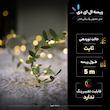 ریسه ال ای دی مدل مفتولی برگ رنگین کمان طول 5 متر
