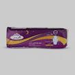 نوار بهداشتی گلریز کد 03 بسته 10 عددی
