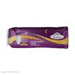 نوار بهداشتی گلریز کد 03 بسته 10 عددی