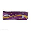نوار بهداشتی گلریز کد 03 بسته 10 عددی