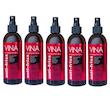 اسپری مو وینا مدل Ant Frizz حجم 250 میلی لیتر مجموعه 5 عددی