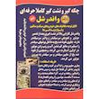 نشت گیر رادیاتور خودرو واندر شل مدل Professional حجم 250 میلی لیتر