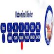 گرمکن کلیه تن یار مدل پشمی کد 4150
