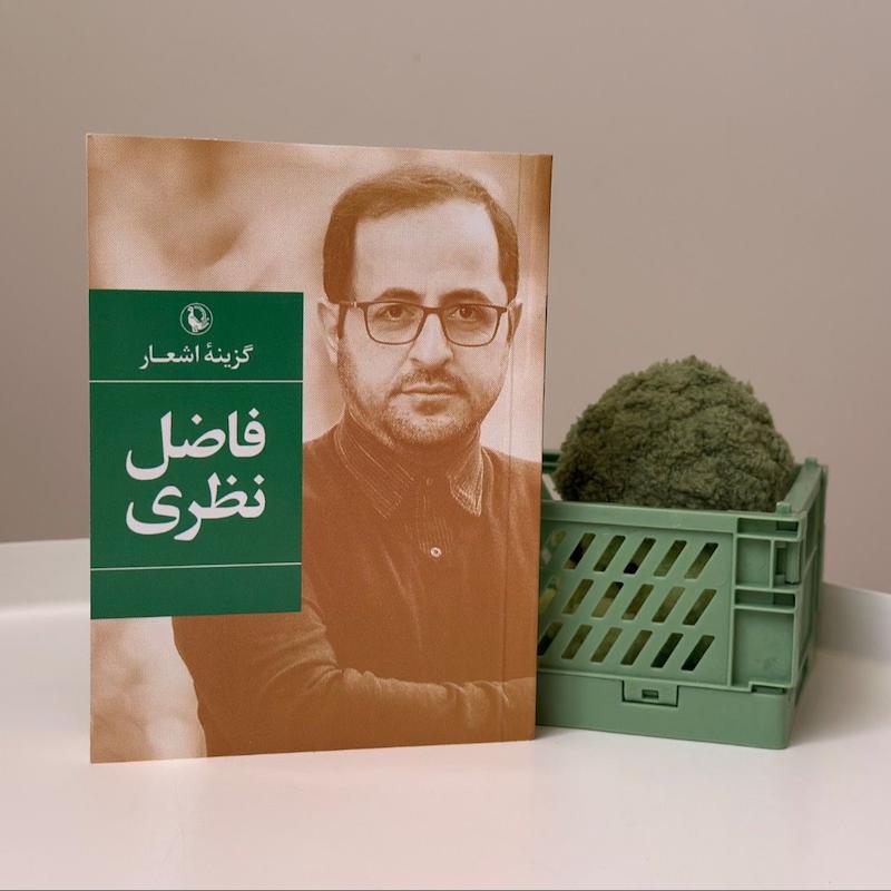 کتاب گزینه اشعار فاضل نظری قطع جیبی نشر مروارید 
