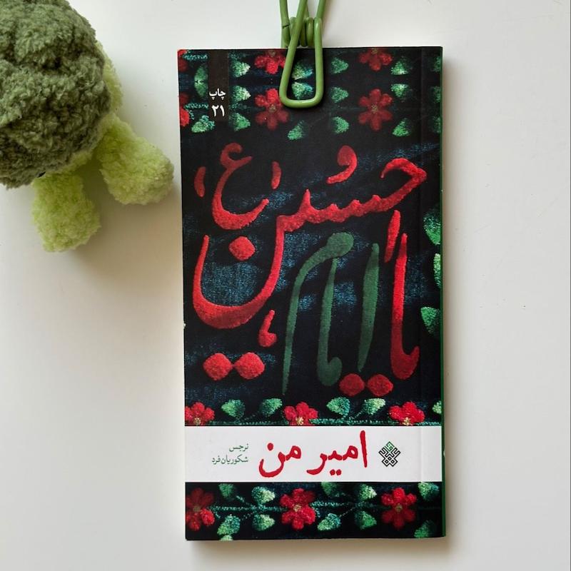 کتاب امیرمن اثر نرجس شکوریان فرد نشر عهد مانا 