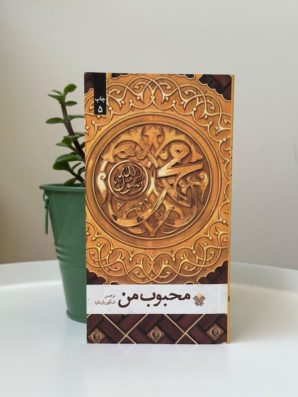 کتاب محبوب من اثر نرجس شکوریان فرد نشر عهد مانا 