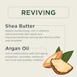 سوپر اسکراب بدن آرگان و شی باتر پتال فرش نسخه اصل وارداتی ۱۶ اونس +نحوه استفاده Petal Fresh ArGan Shea Body Scrub 16 Ounce OriGinal Version Poonel Store Online ShoppinG Platform