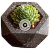 گلدان مینیمال بتنی زیکو پوونل استور cute minimal the pot zico company www.poonelstore.com code 101-03