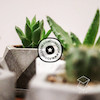 گلدان مینیمال بتنی زیکو پوونل استور cute minimal the pot zico company www.poonelstore.com code 101-05