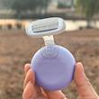 تیغ اصلاح کالرلمب پرتابل، شیور دستی کالرلمب قابل حمل دارای کیس نگهدارنده مناسب خانم ها Colorlamb Portable 0.4 Manual Women Razor Set Metal Handle Poonel Store