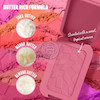 رژگونه پودری فشرده اورجینال نسخه وارداتی اصل پیگمنت بالا با قابلیت کنترل شدت رنگ Original Professional Make Up Butter Melt Blush Poonel Store
