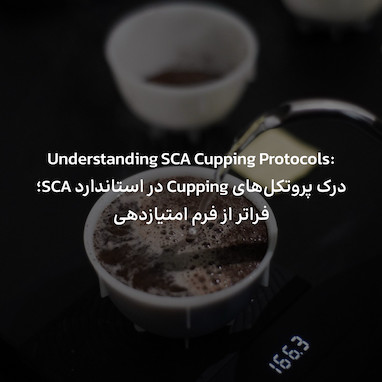 درک پروتکل‌های Cupping در استاندارد SCA؛ فراتر از فرم امتیازدهی