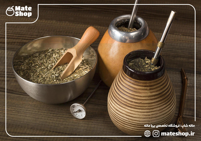 8 خاصیت شگفت انگیز یربا ماته (چای ماته) برای سلامتی بدن