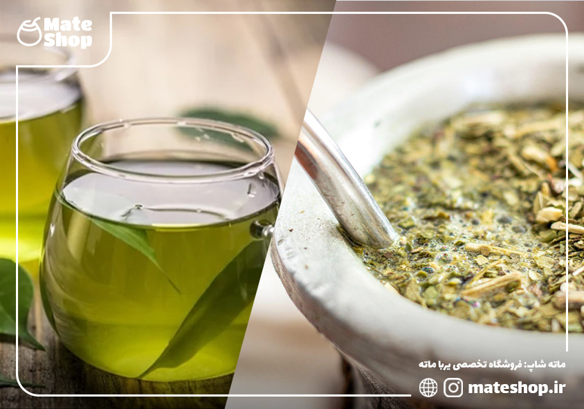 تفاوت چای یربا ماته و چای سبز