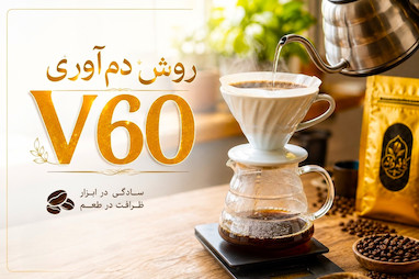 معرفی و آموزش دم آوری با V60