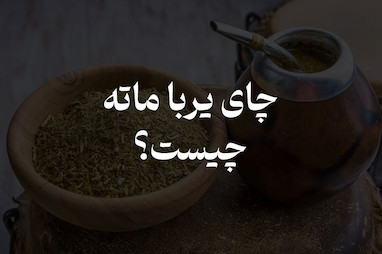 یربا ماته چیست؟ خواص، طرز تهیه و راهنمای خرید یربا ماته اصل در ایران