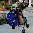 6bc77bf1dc5c30b3be0edb1523f18026.webp