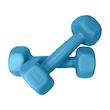 دمبل رادیس فیت مدل  DUM-Fit 0500  وزن 0.5 کیلوگرم بسته دو عددی