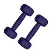 دمبل رادیس فیت مدل  DUM-Fit 0500  وزن 0.5 کیلوگرم بسته دو عددی