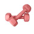 دمبل رادیس فیت مدل  DUM-Fit 0500  وزن 0.5 کیلوگرم بسته دو عددی