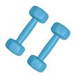 دمبل رادیس فیت مدل  DUM-Fit 0500  وزن 0.5 کیلوگرم بسته دو عددی