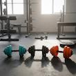 دمبل گرد قابل تنظیم وزن 6 کیلوگرم رادیس فیت مدل DVP-6Mix one handle