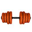دمبل گرد قابل تنظیم 16 کیلوگرم رادیس فیت مدل DVP16-Mix1-one handle