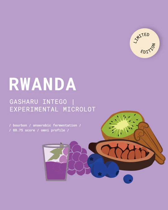 رواندا-گاشارو اینتگو-فرآوری بی هوازی