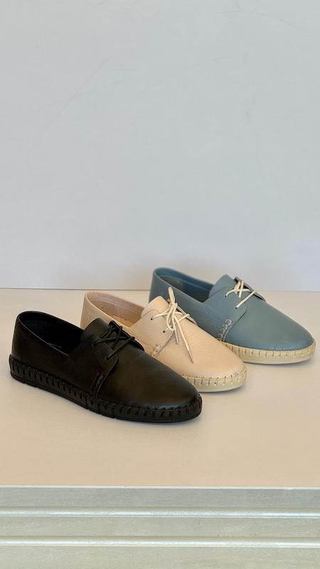 کالج پشت کشی جوتی