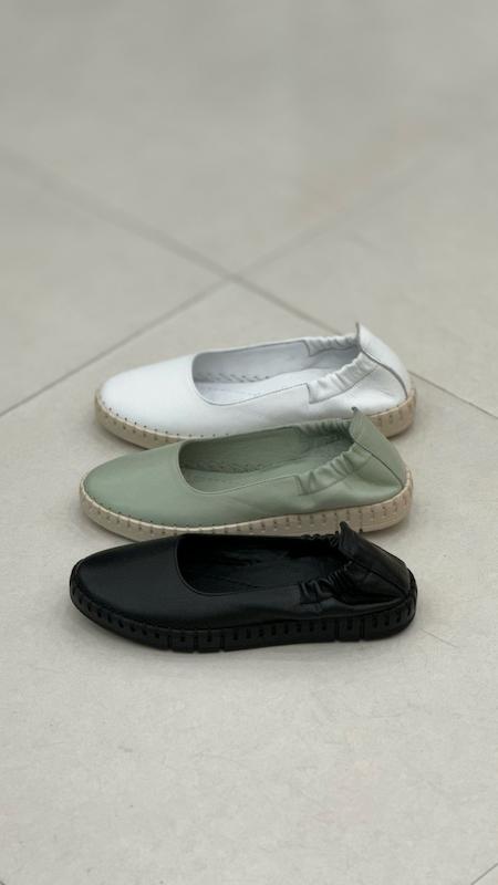 کالج پشت کش جوت باکسر