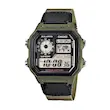 AE-1200WHB-3B