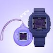 BGD-10K-2DR