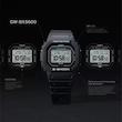 GW-BX5600-1DR