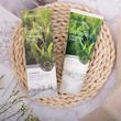 فوم پاک کننده چای سبز 3W Clinic مدل Green Tea حجم 100 میل
