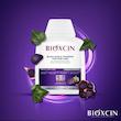 شامپو بیوکسین حاوی سیر سیاه بدون سولفات حجم300میلBIOXCIN BLACK GARLIC SHAMPOO