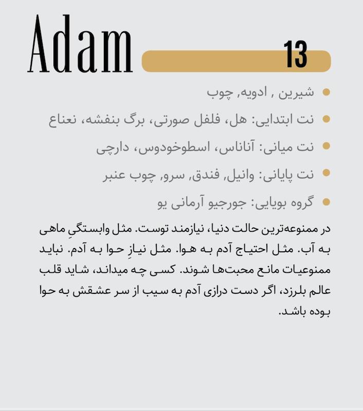 ادکلن لالالند 30میل(13 - آدام)(استرانگر ویت یو)Adam Perfume