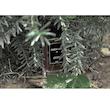 ادکلن لالالند 30میل(15 - وودی)(لالیک)Woody Perfume