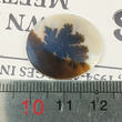 سنگ عقیق سلین کالا مدل شجر طبیعی طرح درخت کد 13527824