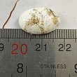 سنگ فیروزه سفید سلین کالا کد 19.12.5 -14544816